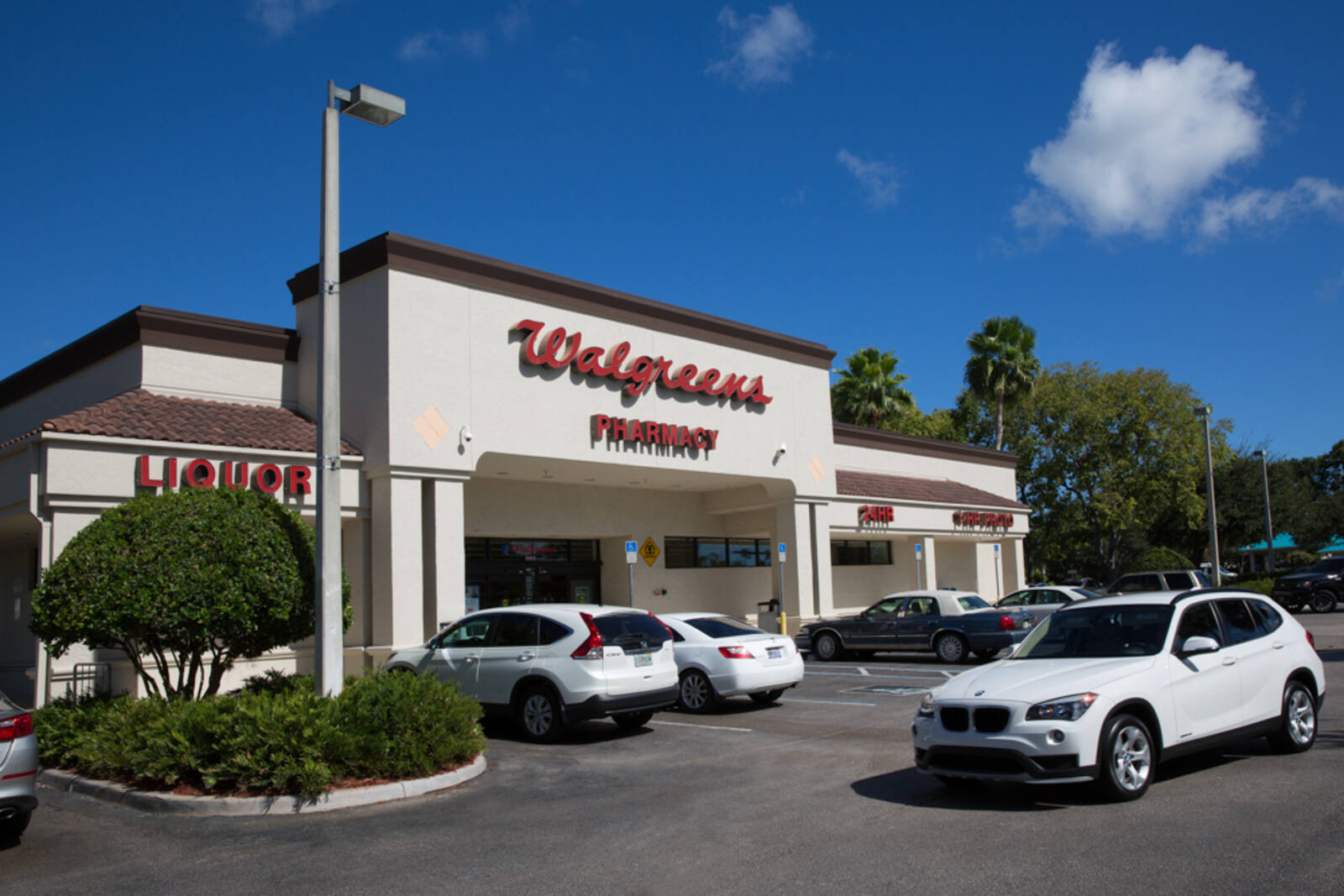 White SUV passed by parking lot in Walgreens.