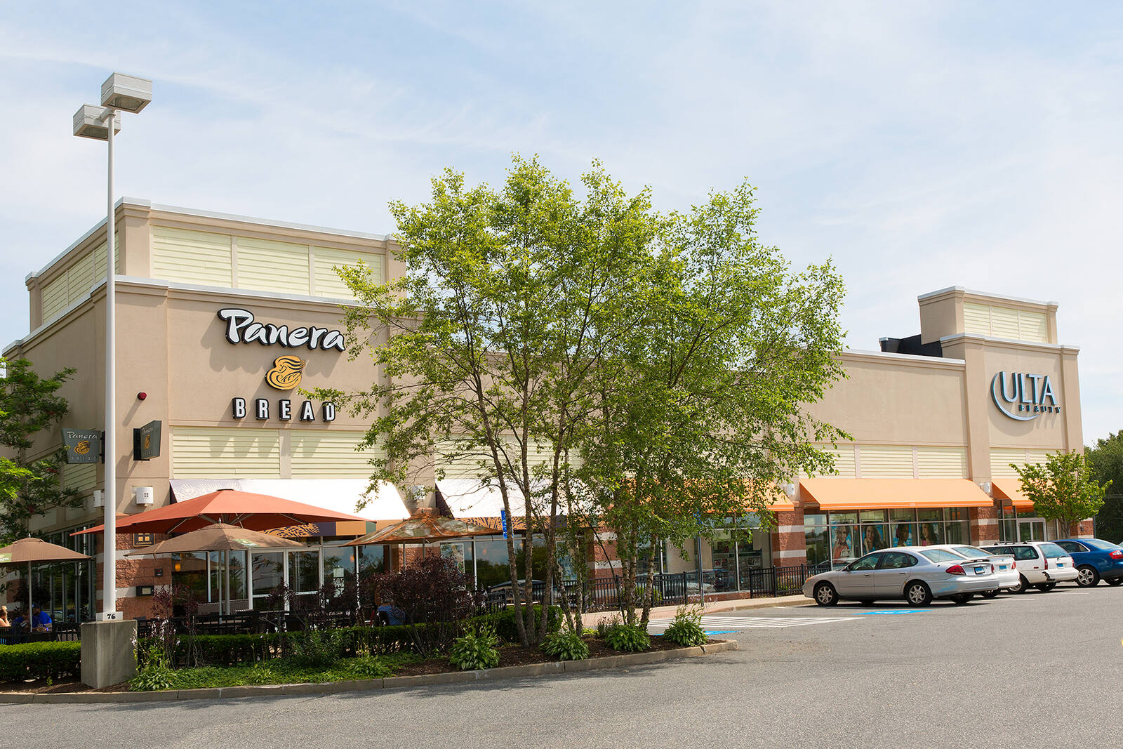 Tree in between Panera and Ulta fronts